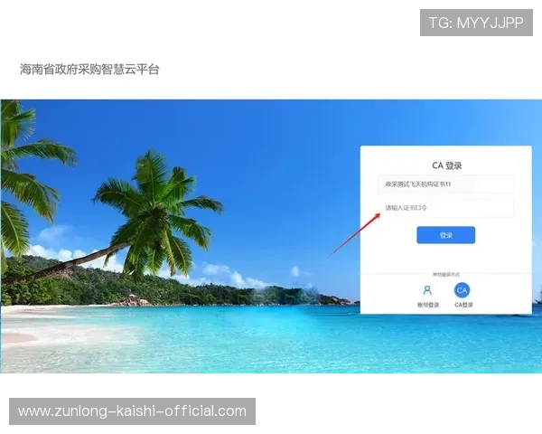 开云登录常见问题与解决方案全面解析账户登录中遇到的问题