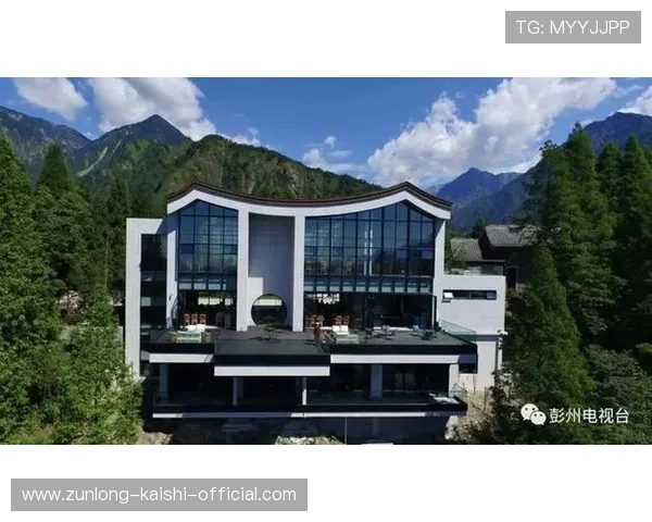 开云官方旗舰店正品保证,体验奢华品质带来的极致购物体验 开云官方旗舰店正品保证,体验奢华品质带来的极致购物体验