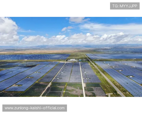 尊龙平台地址官方入口导航2024年最全安全登录指南 尊龙平台地址官方入口导航2024年最全安全登录指南