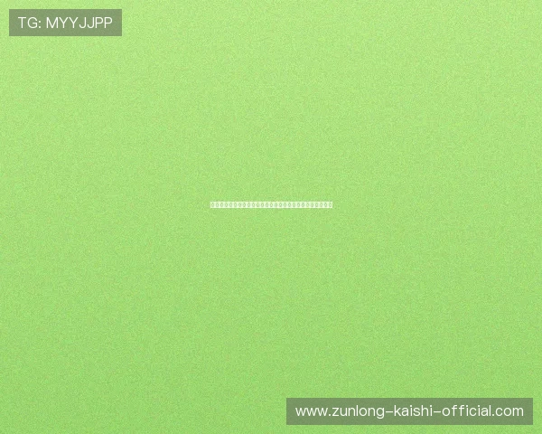伊朗对比利时比赛现场球迷围巾展示精彩瞬间与热情支持分析